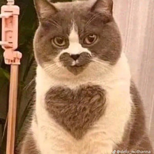 Meet your Posher, Ben